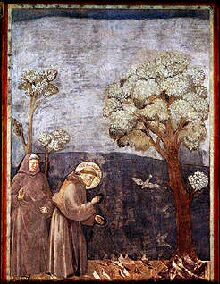st_francois_oiseaux.jpg (25867 octets)
